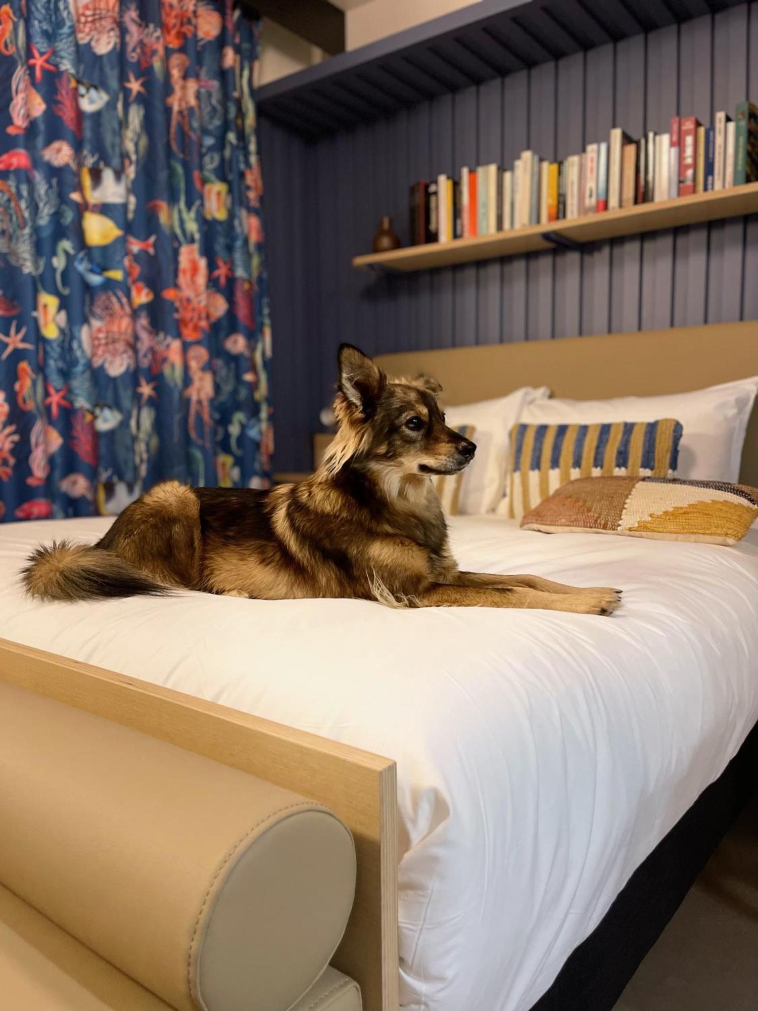 Jost Hotel Le Havre Centre Gare 外观 照片